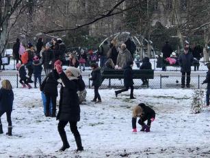 Enchantement au Parc  -  février 2018