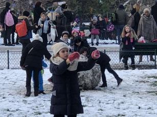 Enchantement au Parc  -  février 2018